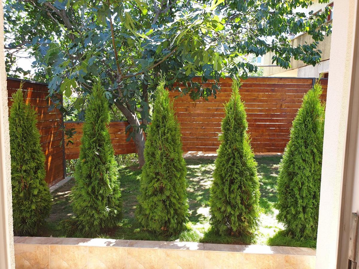 Kuca Ema Villa Beograd Ngoại thất bức ảnh